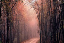 皇马逆转胜：布鲁日遗憾错失晋级机会