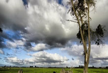 瑞士后卫表现抢眼，成为球队支柱