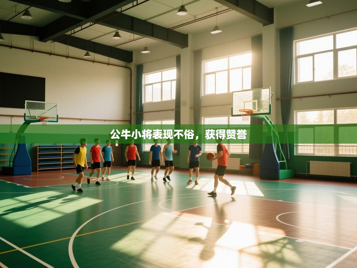 公牛小将表现不俗，获得赞誉