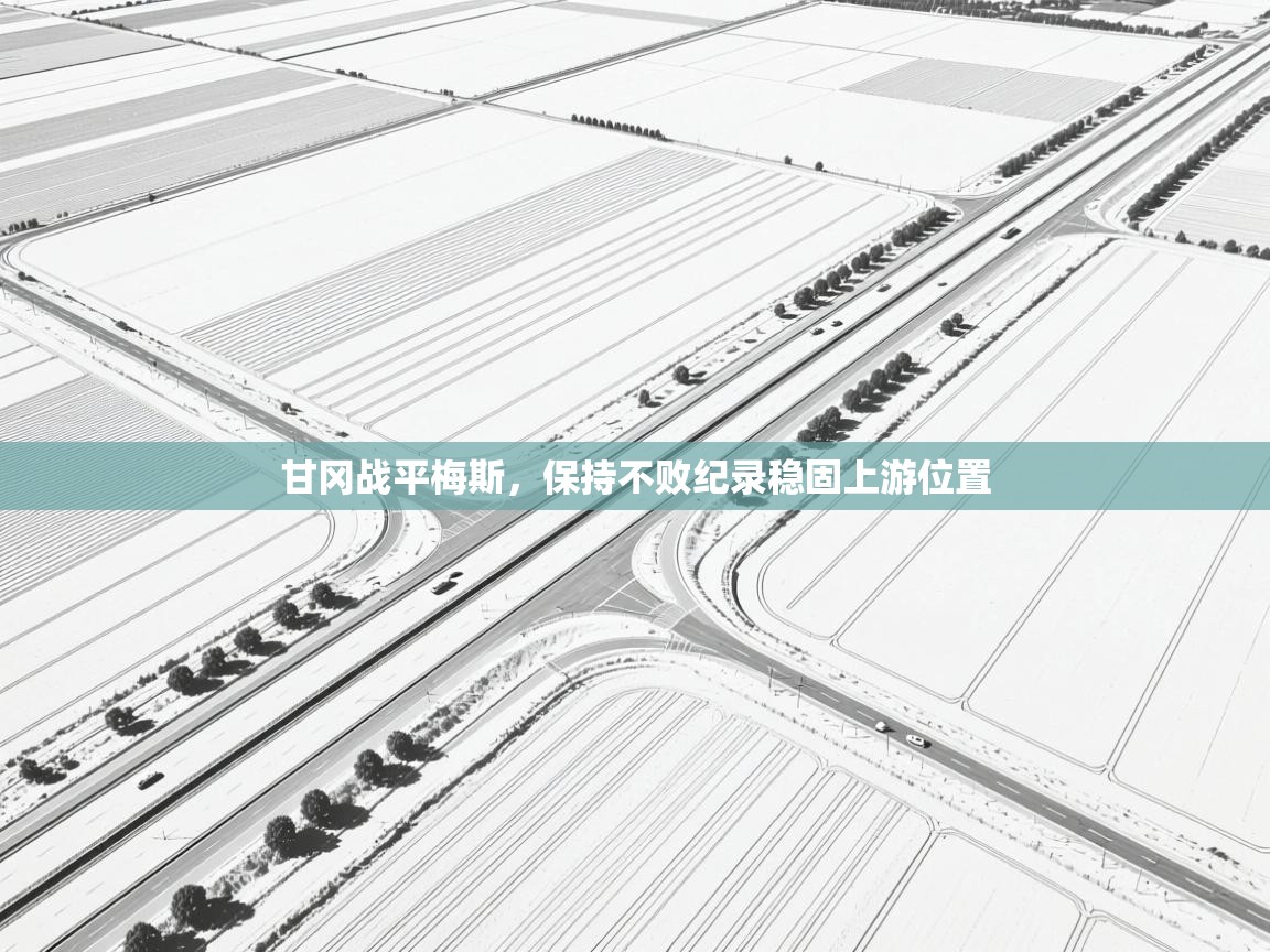 甘冈战平梅斯，保持不败纪录稳固上游位置  第2张