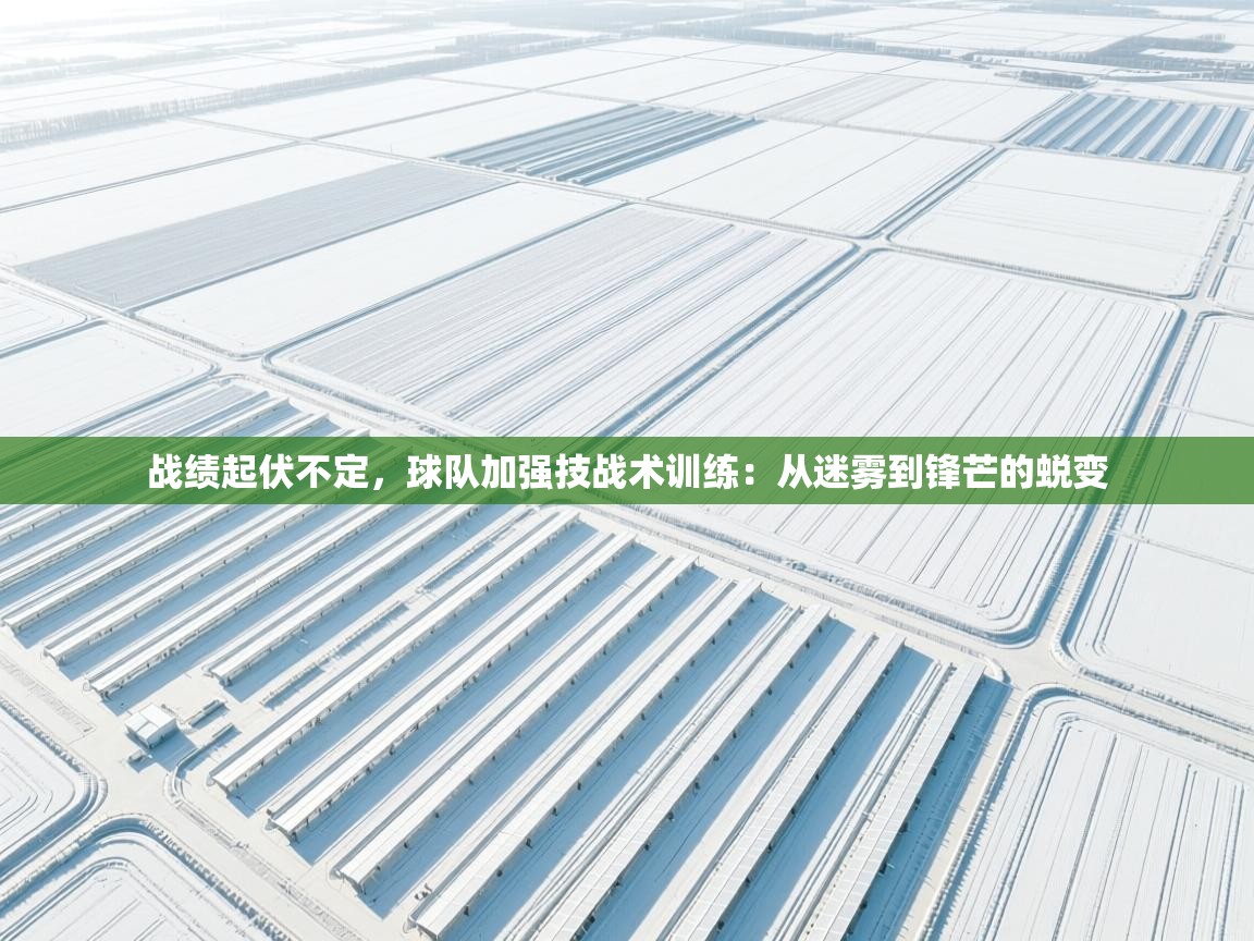 战绩起伏不定，球队加强技战术训练：从迷雾到锋芒的蜕变  第2张
