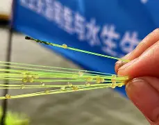 爱游戏官网-关于省巢鹈琉意外力克北雄于格，成功晋级的信息